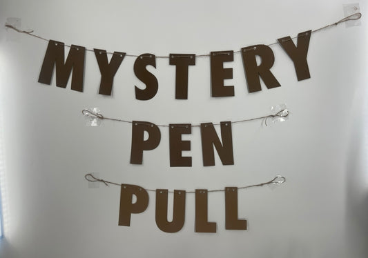 Mystery Pen