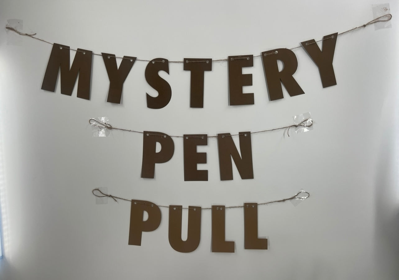 Mystery Pen