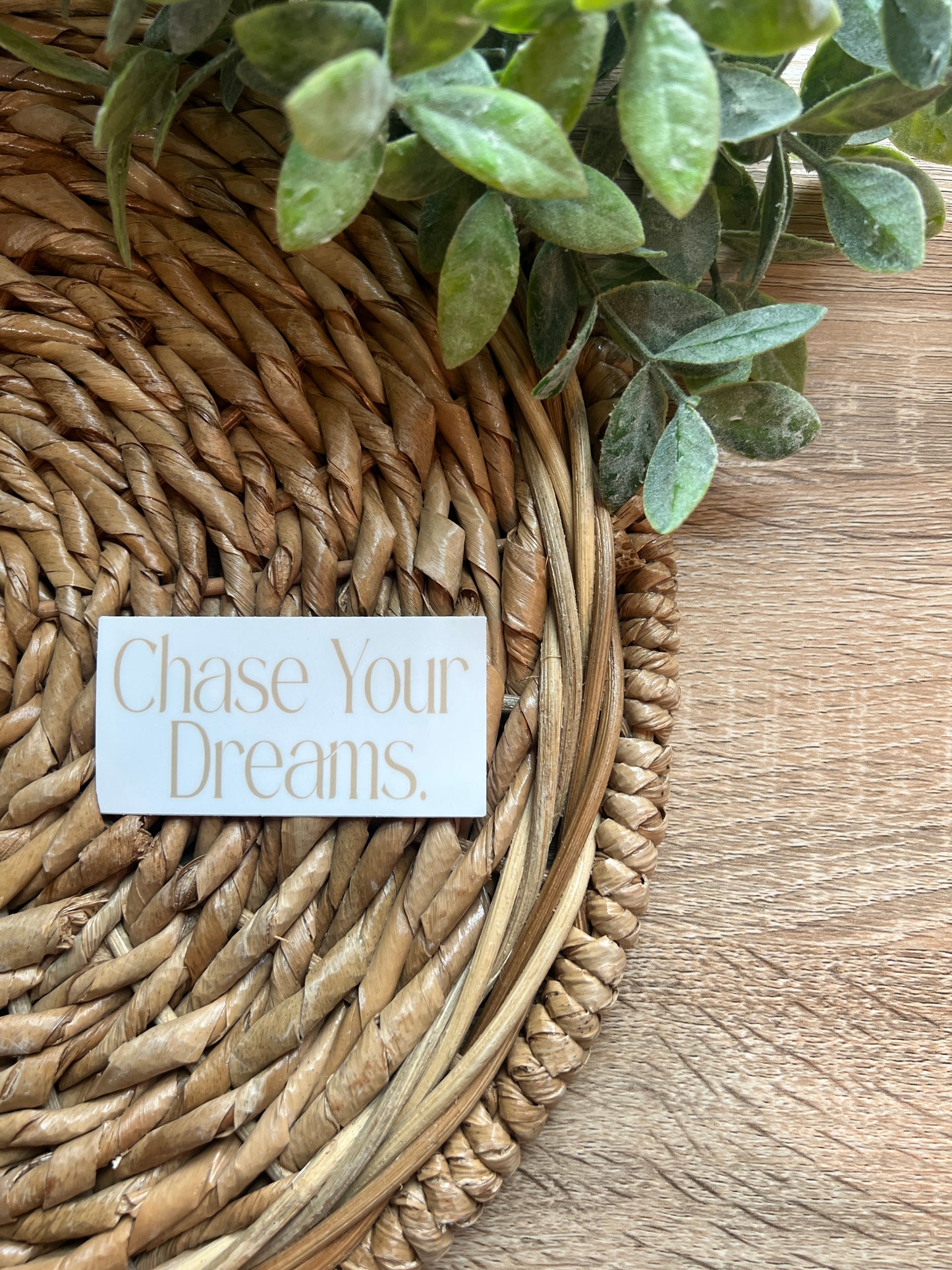 Chase Your Dream Sticker