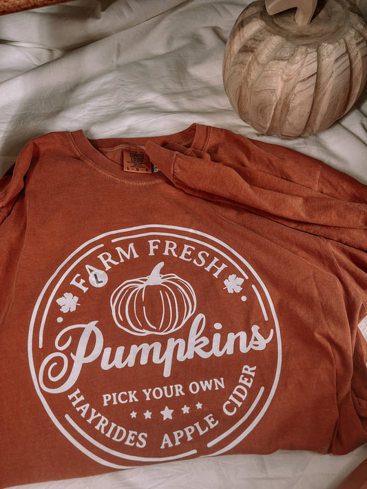 Farm Fresh Pumpkins Long Sleeve Shirt
