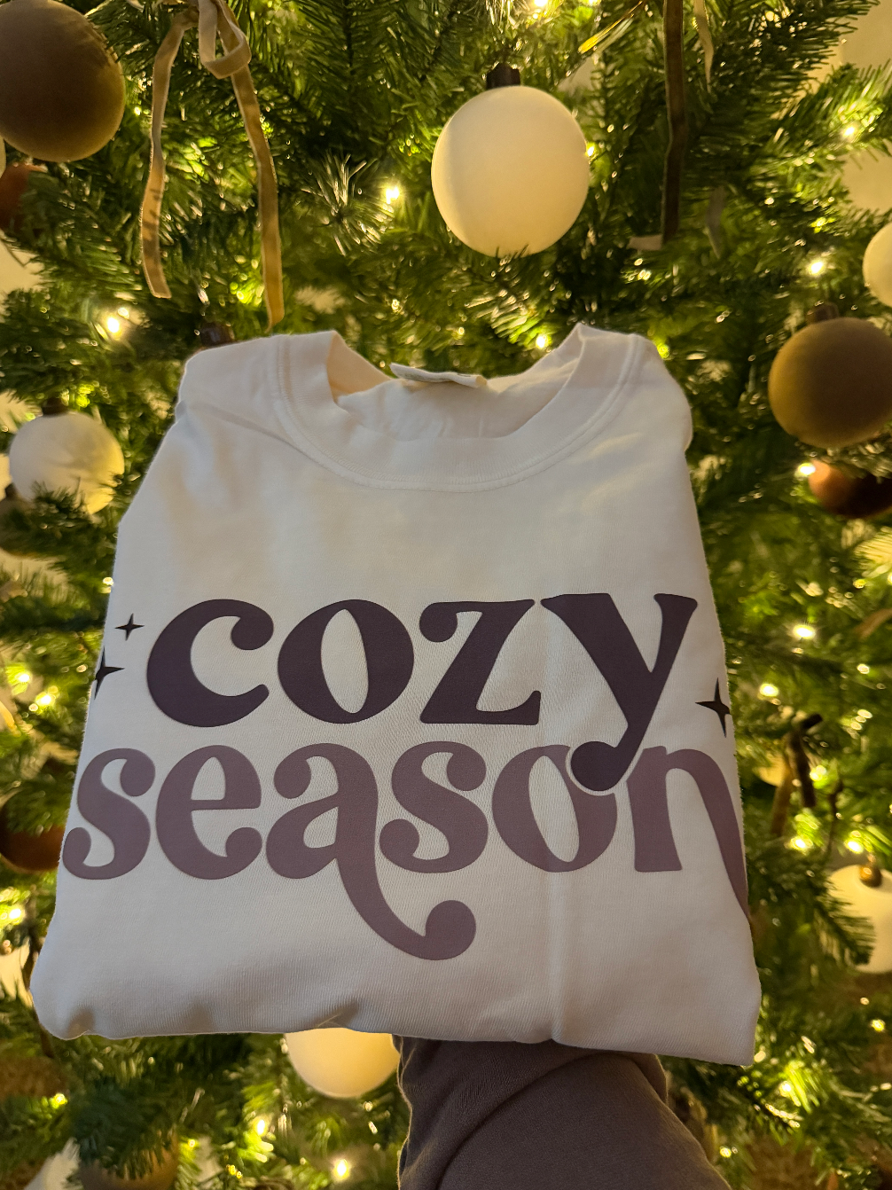 Cozy Season Long Sleeve